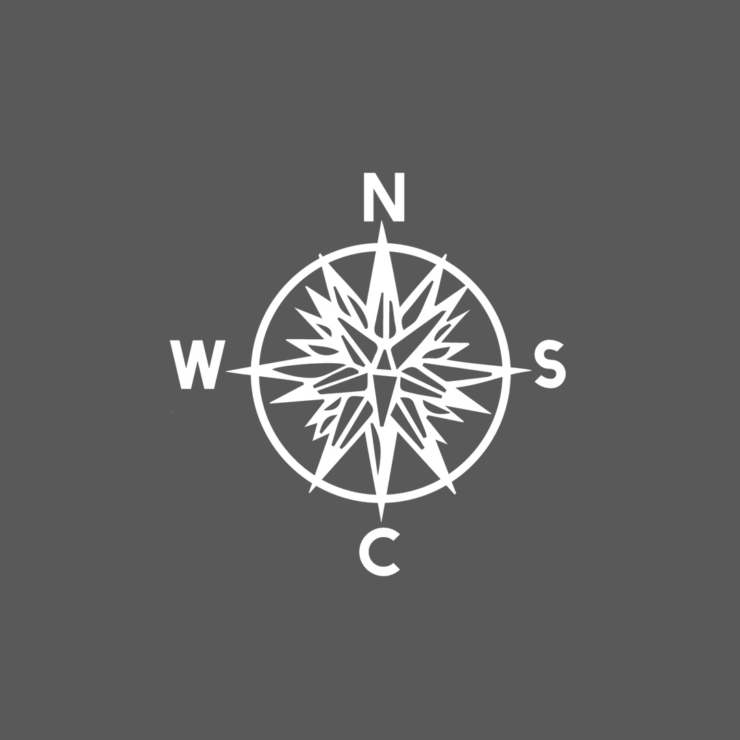 WS Fellows Placed Logo with Gray Background